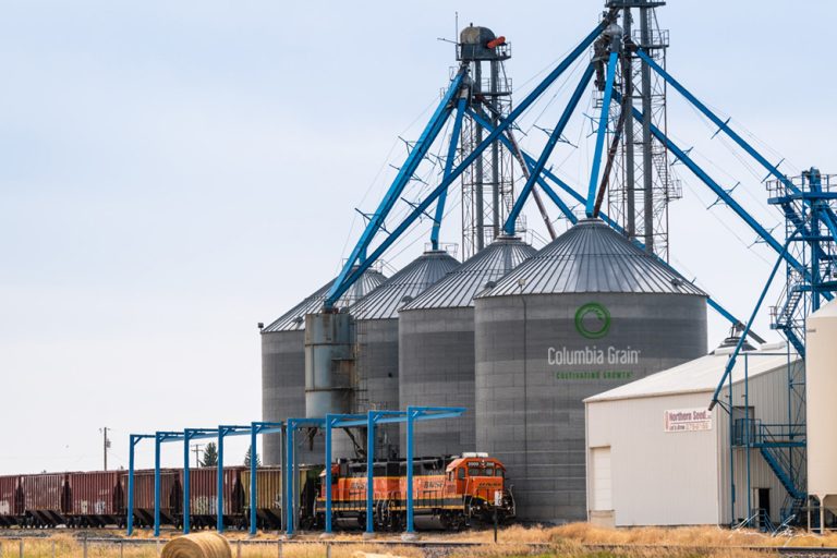 Conrad, MT Columbia Grain