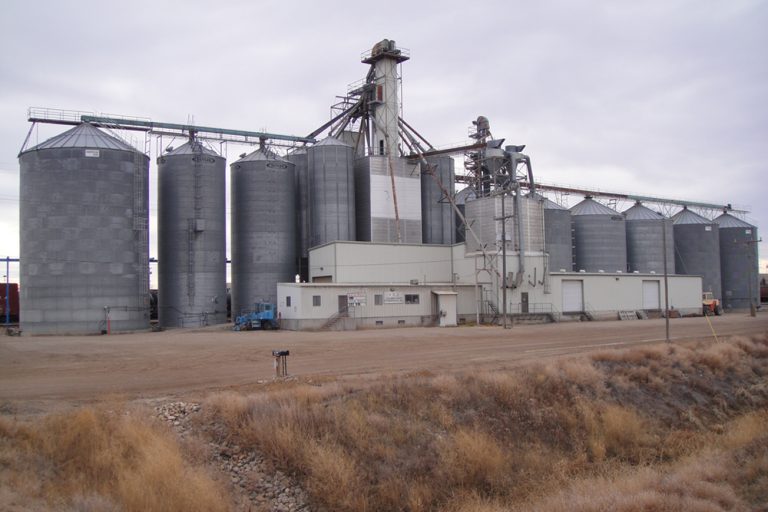 Havre Mt Columbia Grain